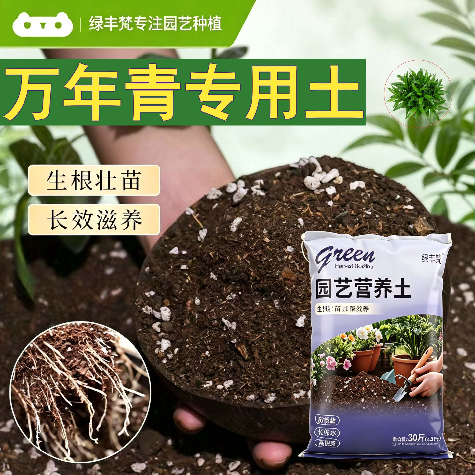 万年青适用盆景土加珍珠岩家庭园艺加有机肥精选绿叶喜酸防黄叶