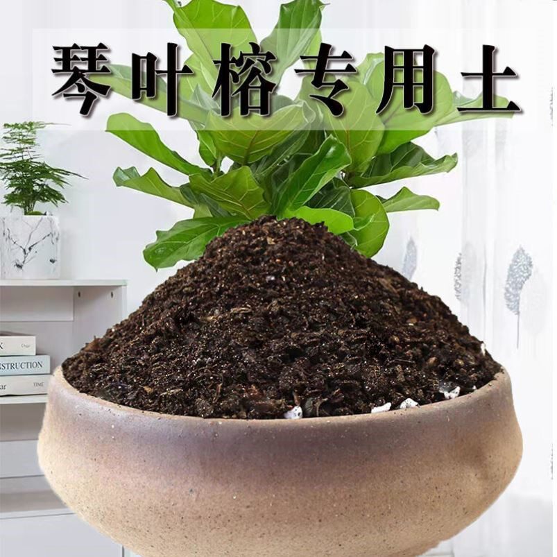 琴叶榕专用土琴叶榕土壤养花种花泥土营养土通用种植土盆栽种植土