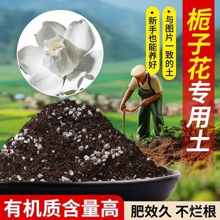 栀子花营养专用土土适用土疏松透气含泥炭肥料通用有机种植土批发