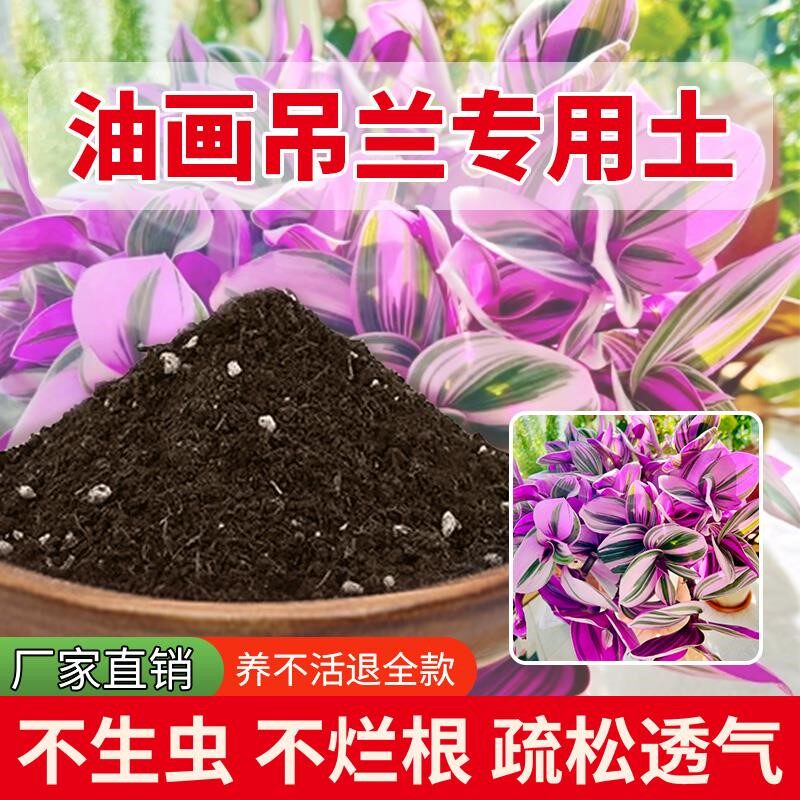 油画吊兰专用土多肉土有机绿植园艺营养土养花专用土发酵花园花卉