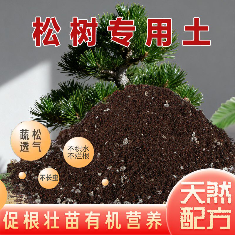 松树土五针松罗汉松黑松黄山松专用土风化土花土酸性土壤盆景土