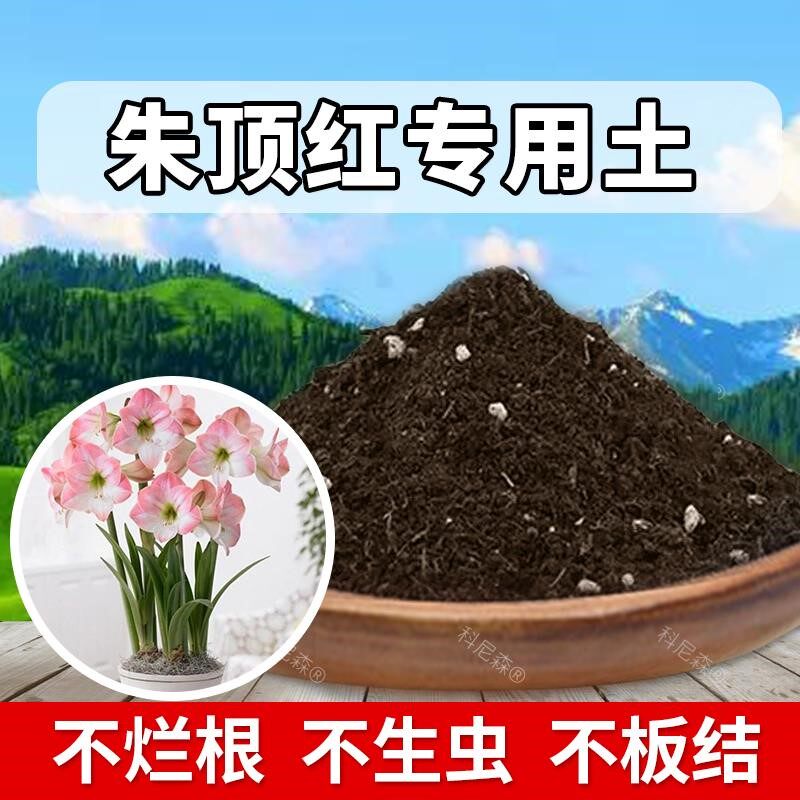 朱顶红专用土花卉土花草营养土家庭朱顶红专用肥料养花土黑土蓬松