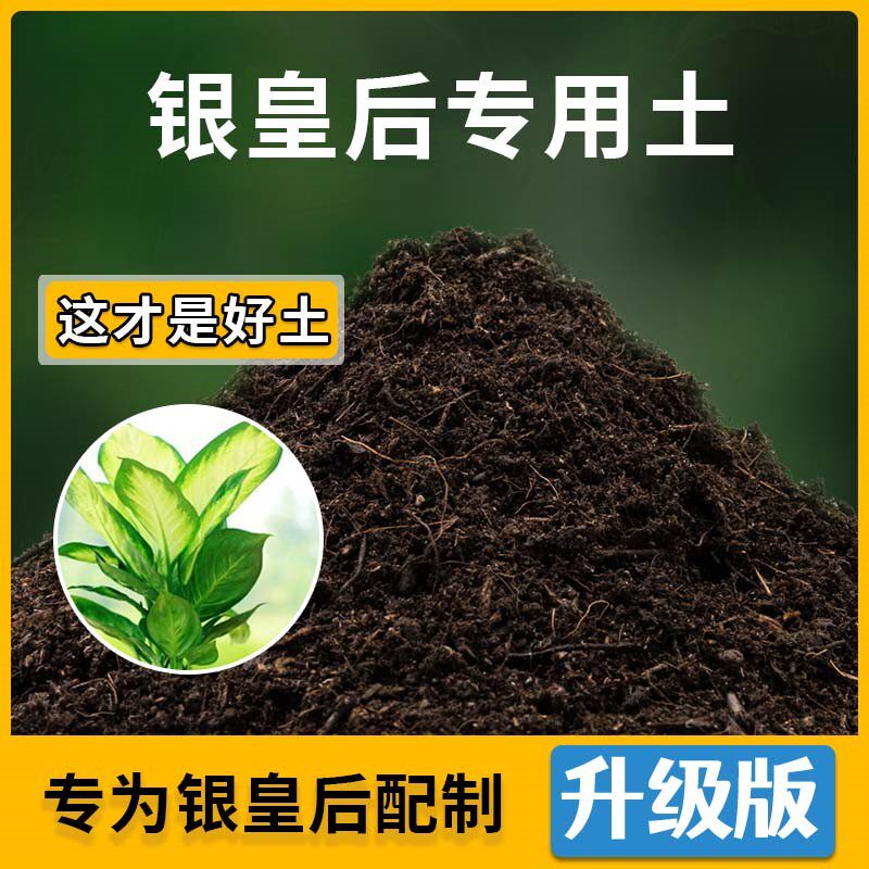 银皇后专用土银皇后营养土家用种植通用土壤盆栽种花养花有机土
