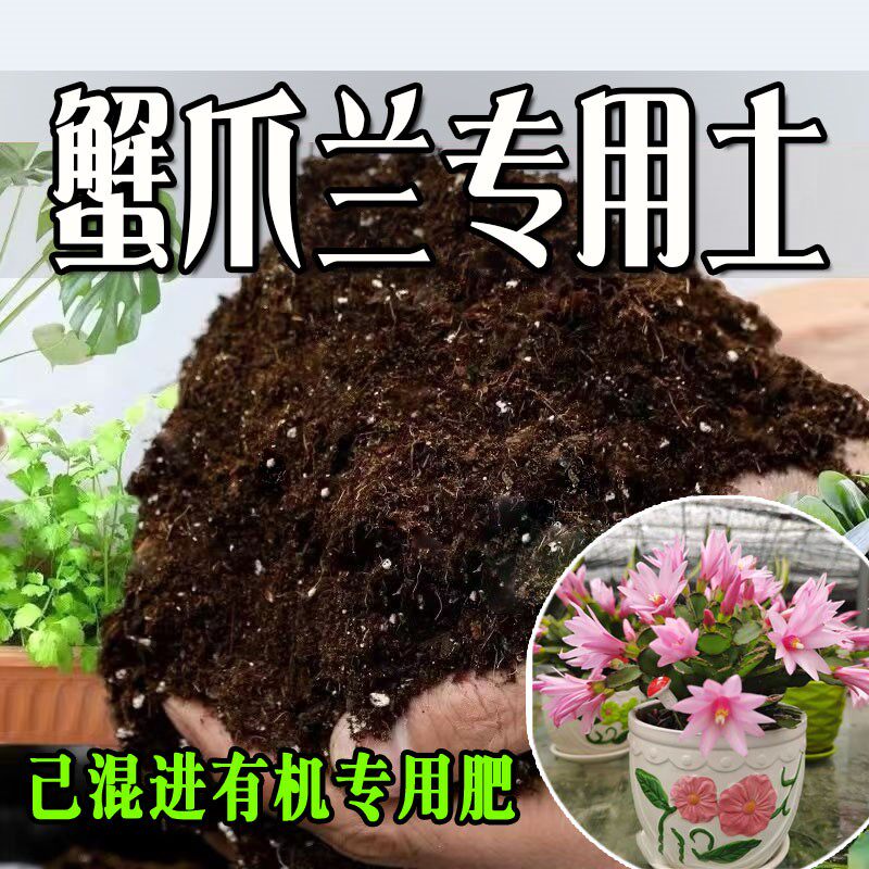 蟹爪兰专用土 疏松透气盆栽绿植专用室内植物营养土有机肥料种植