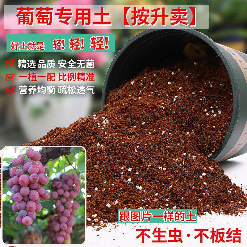 葡萄专用土轻质土专用营养土盆栽土养花种花土通用种植土壤肥料土