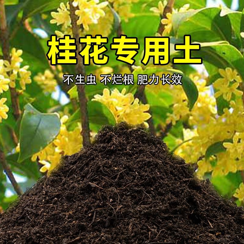 桂花专用土室内阳台盆栽土酸性种植花土家庭通用有机营养土包邮