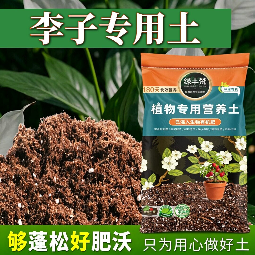 李子适用土壤配比均衡扦插盆栽土经久耐用辅助发根实惠装多肉花土