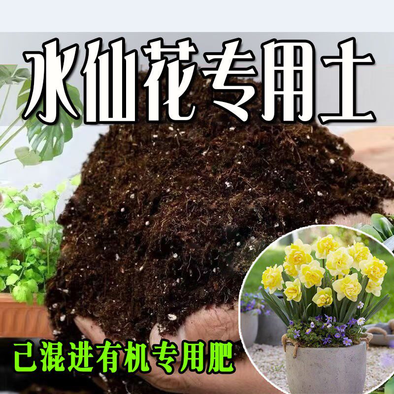 水仙花专用土 水仙花专用营养土 盆栽养花种花土通用种植土壤肥料