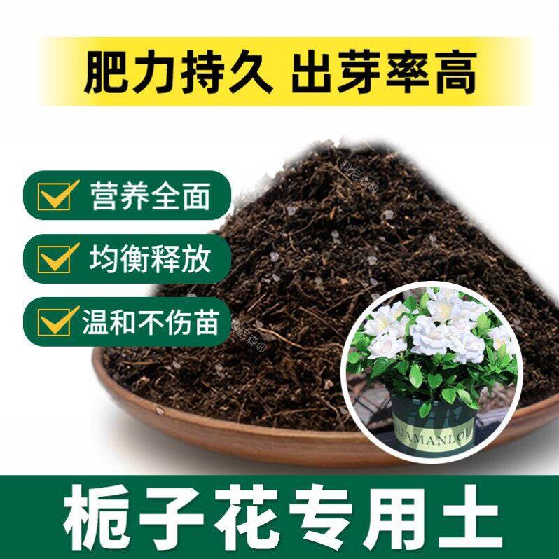 栀子花专用土育苗花土养花种植栀子花专用肥料透气营养土盆栽土壤