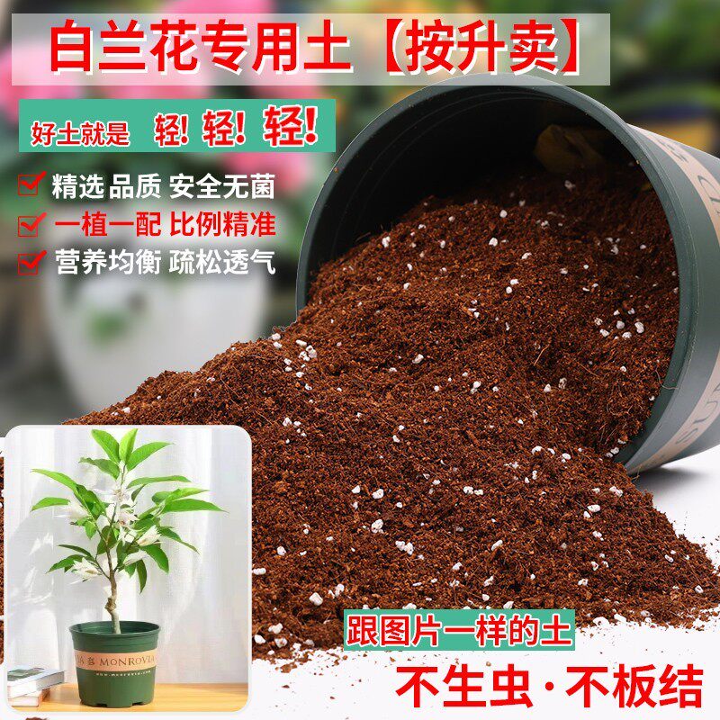 白兰花专用土轻质土腐殖土专用营养土养花通用泥土种植土花泥植物