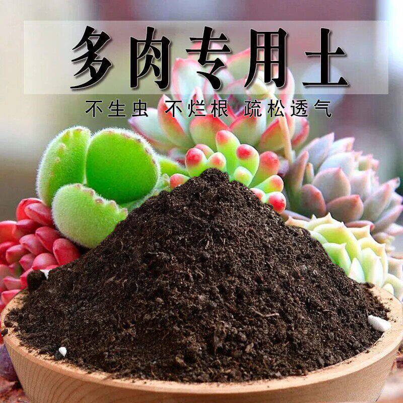 多肉专用土多肉专用营养土养花通用型家用种植土绿植有机土壤肥料