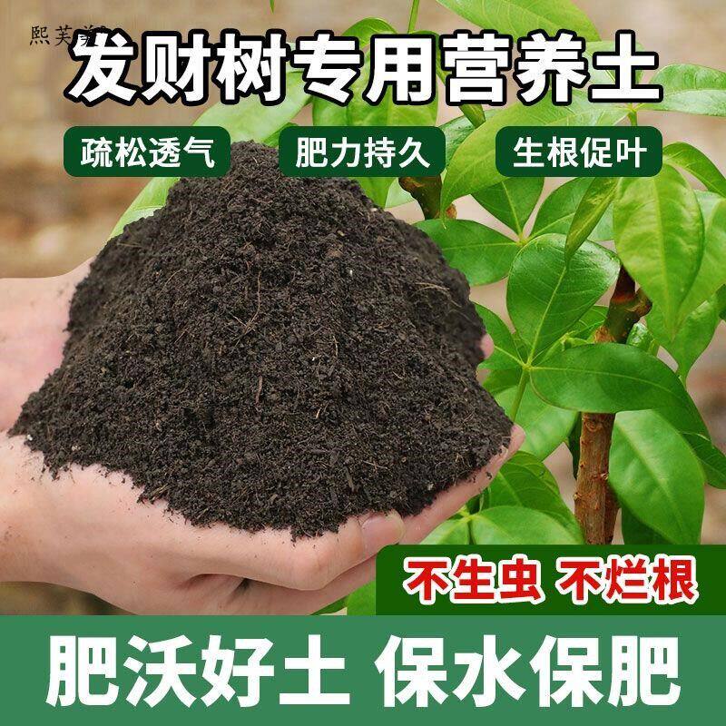 发财树专用土营养土花土发财树肥料专用肥土家用盆栽绿植种植土壤