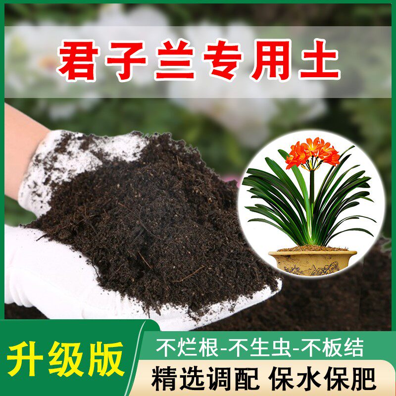 君子兰专用土肥料盆栽土专用肥土壤兰花土通用型营养土透气种植土