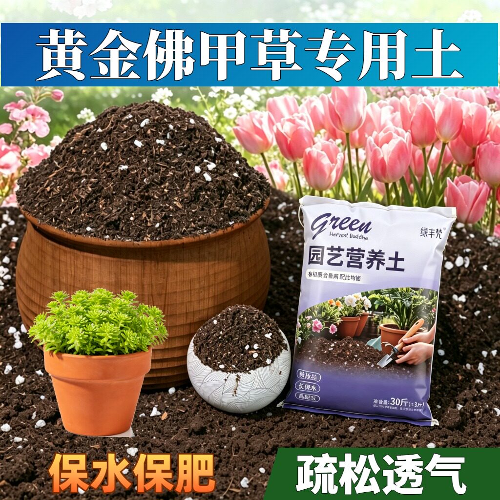 黄金佛甲草专用有机土不板结阳台加牛粪优质壮根球根增色多肉喜酸