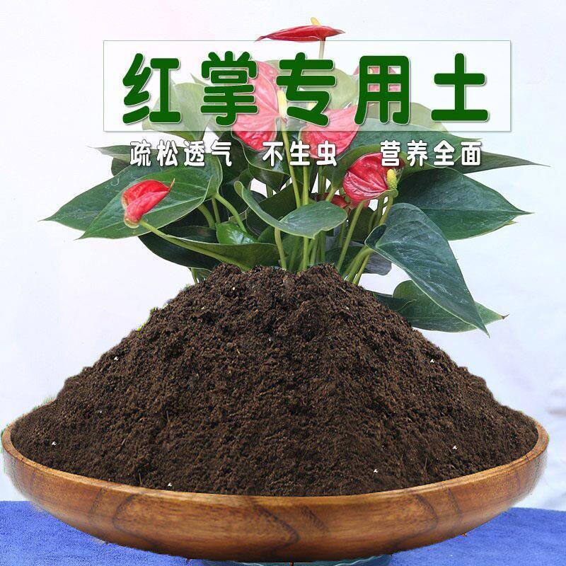 红掌土专用土粉掌白掌盆栽营养土酸性配方种植土壤花泥土有机肥料