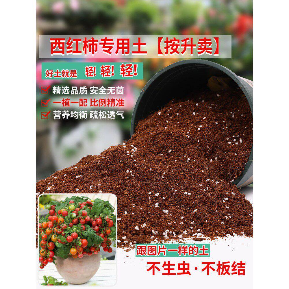 西红柿专用土番茄西红柿专用营养土泥土番茄盆栽土种植通用有机土