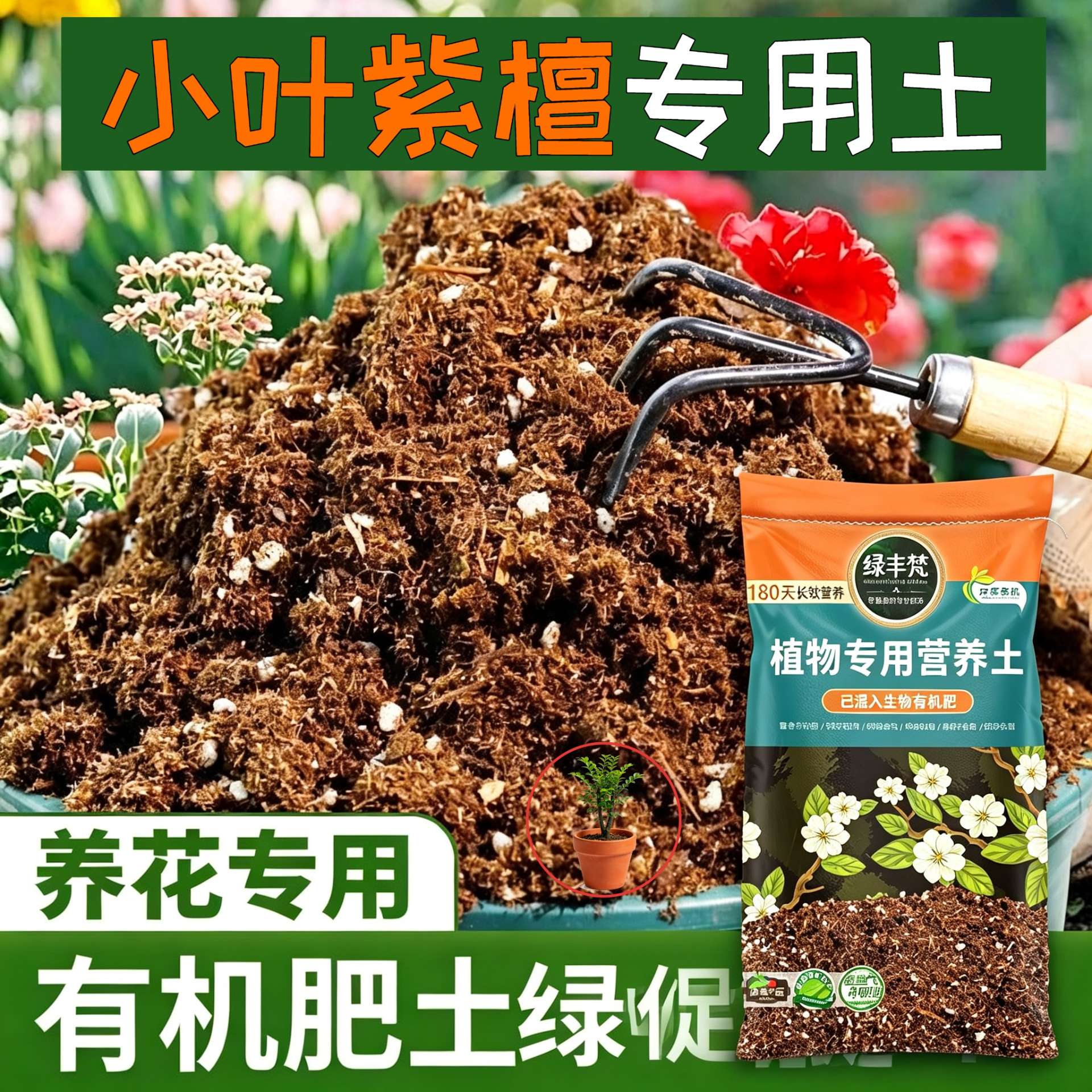 小叶紫檀适用育苗土科学配比养花营养土精配原料绿叶开袋即用多肉