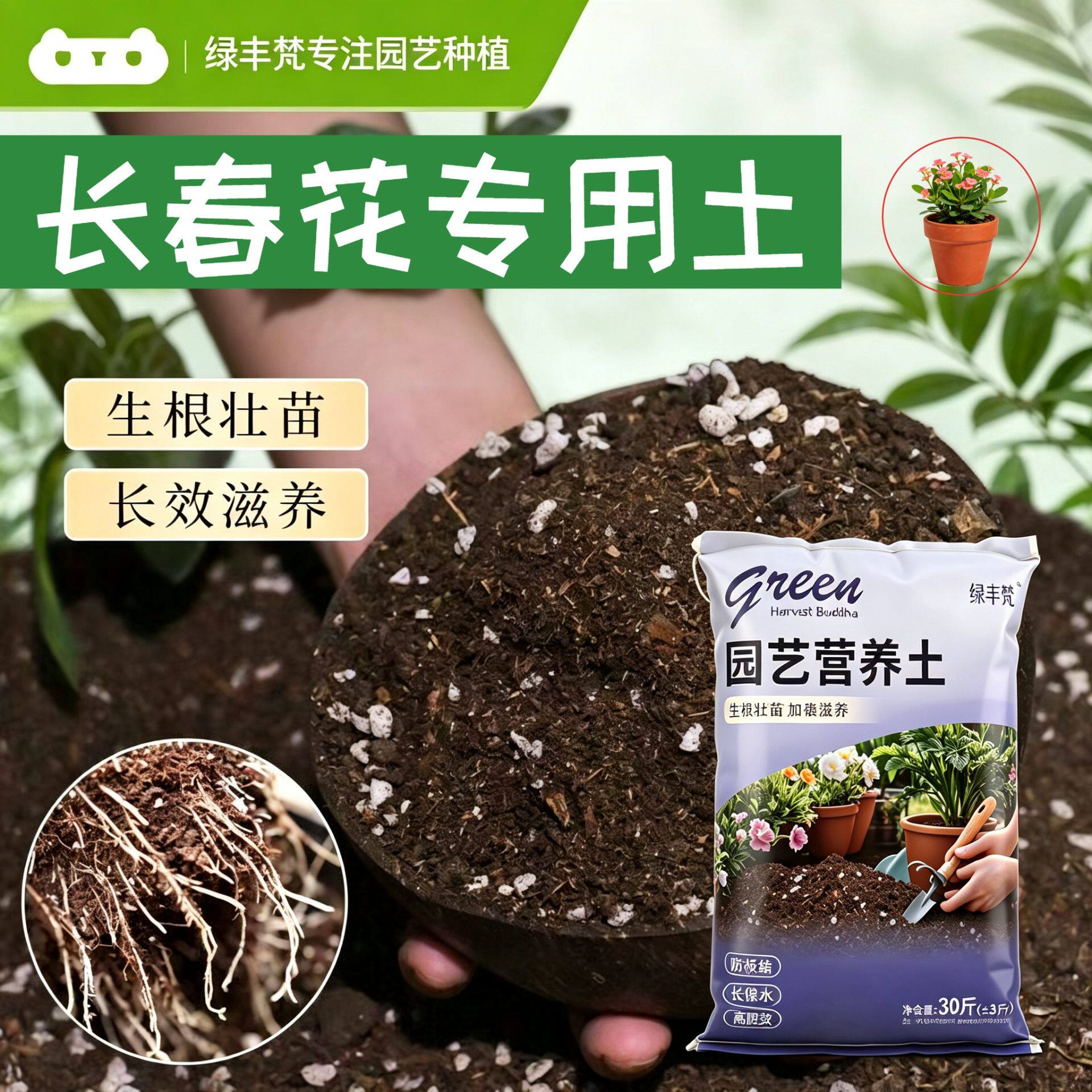 长春花专用进口泥炭土不板结菜园大包有机防徒长观叶家庭园艺扦插