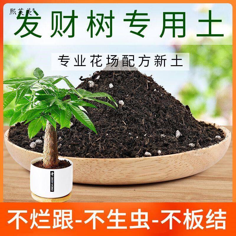 发财树营养土种菜养花专用土盆栽绿植有机土肥料植物花卉种植花土