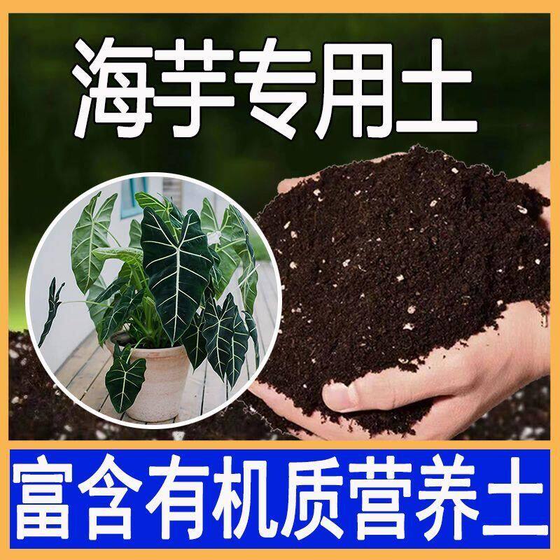 海芋专用土竹芋秋海棠彩叶芋天南星室内绿植专用营养土腐叶腐殖土