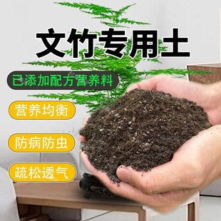 文竹专用土养绿植通用土壤家用文竹盆栽有机土阳台花卉肥料种植土