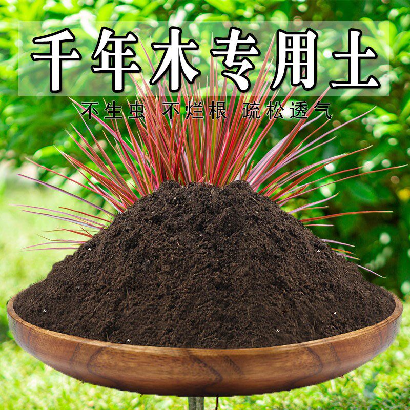 千年木专用土七彩铁土盆栽盆景营养土绿植养花土壤种植土有机肥料