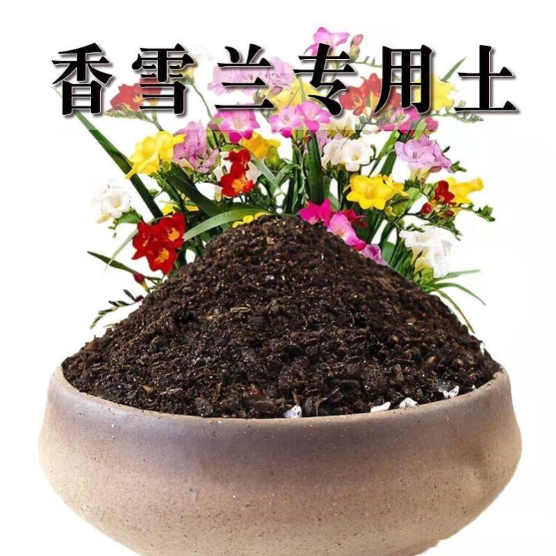 香雪兰专用土香雪兰土养花营养土通用种花土壤花卉种植土有机肥料