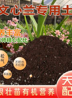 文心兰专用土养花土壤通用型营养土种花种植土家用有机盆栽花泥