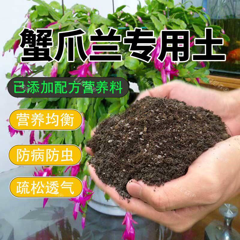 蟹爪兰专用土蟹爪莲营养土花土开花专用肥料蟹脚兰盆栽蟹甲兰土壤