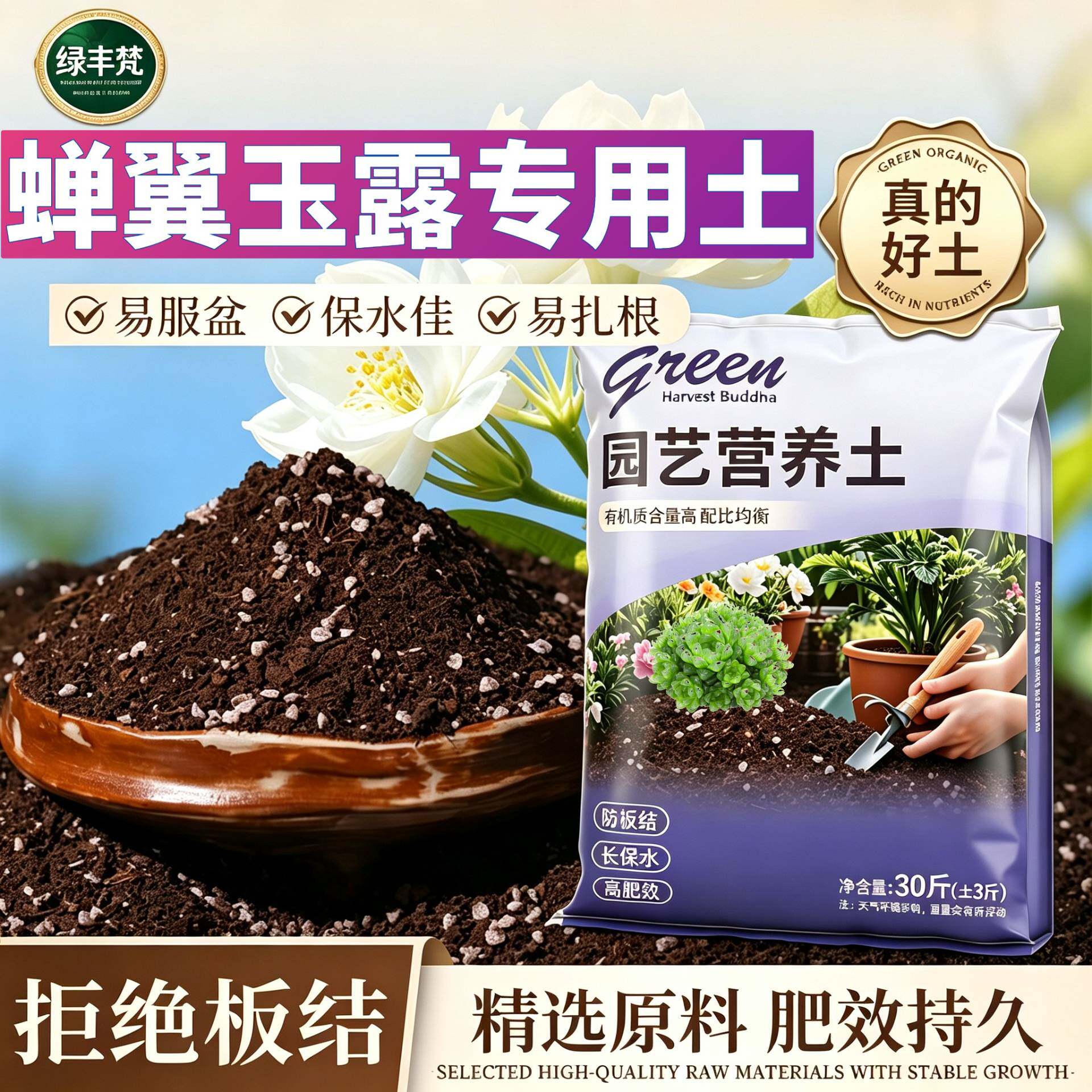 蝉翼玉露适用有机土根壮苗好不烂根育苗加有机肥有机绿叶喜酸花园