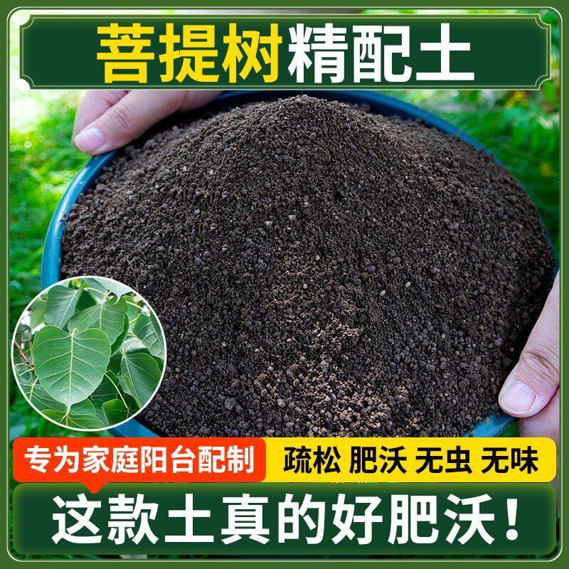 菩提树营养土种菜专用土清仓种花专用有机肥料土多肉扦插育苗土壤
