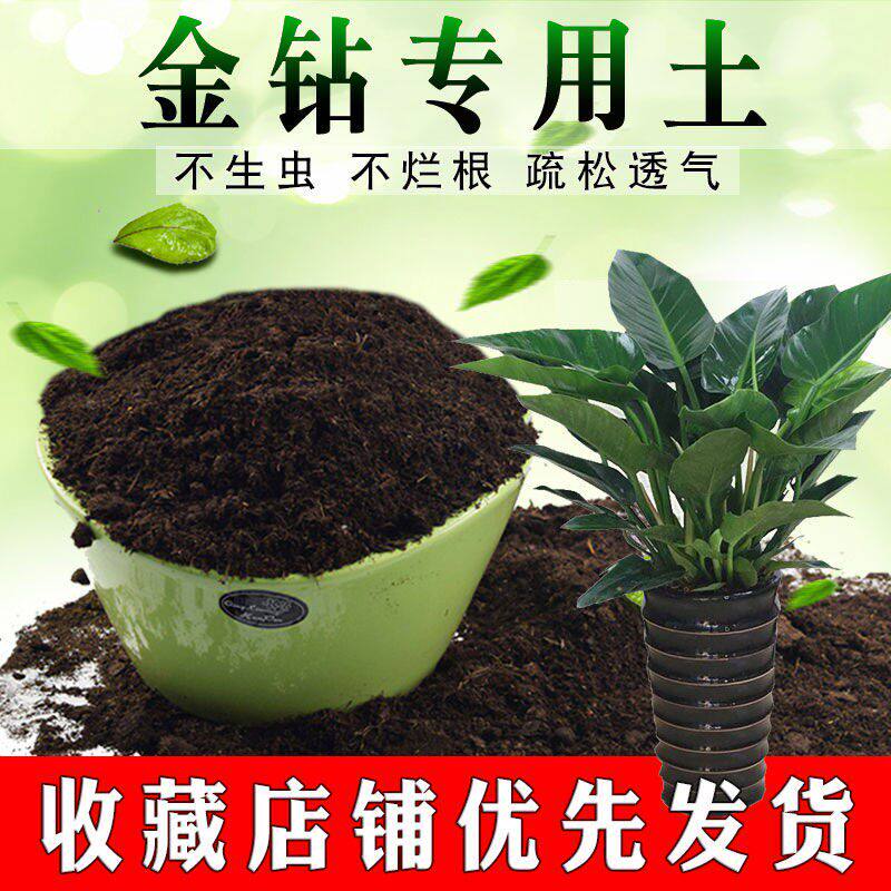 金钻专用土盆栽土营养土壤有机肥料绿植种花养花土通用家用种植土