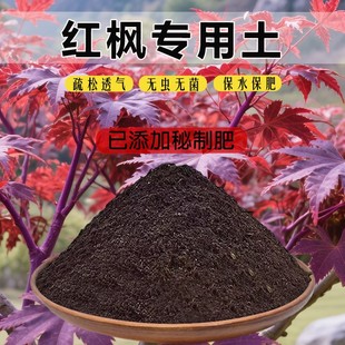 红枫专用土枫树营养土家用盆栽土有机土种植土肥料土栽培土通用土