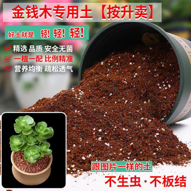 金钱木专用土轻质土营养土盆栽土养花种花土通用型家用种植土壤有