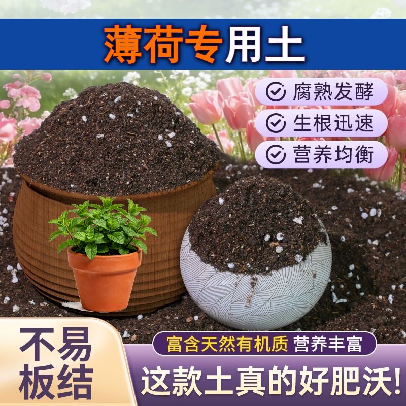 薄荷适用种植土疏松透气阳台加深生根粉无菌防黄叶观花有机泥炭土