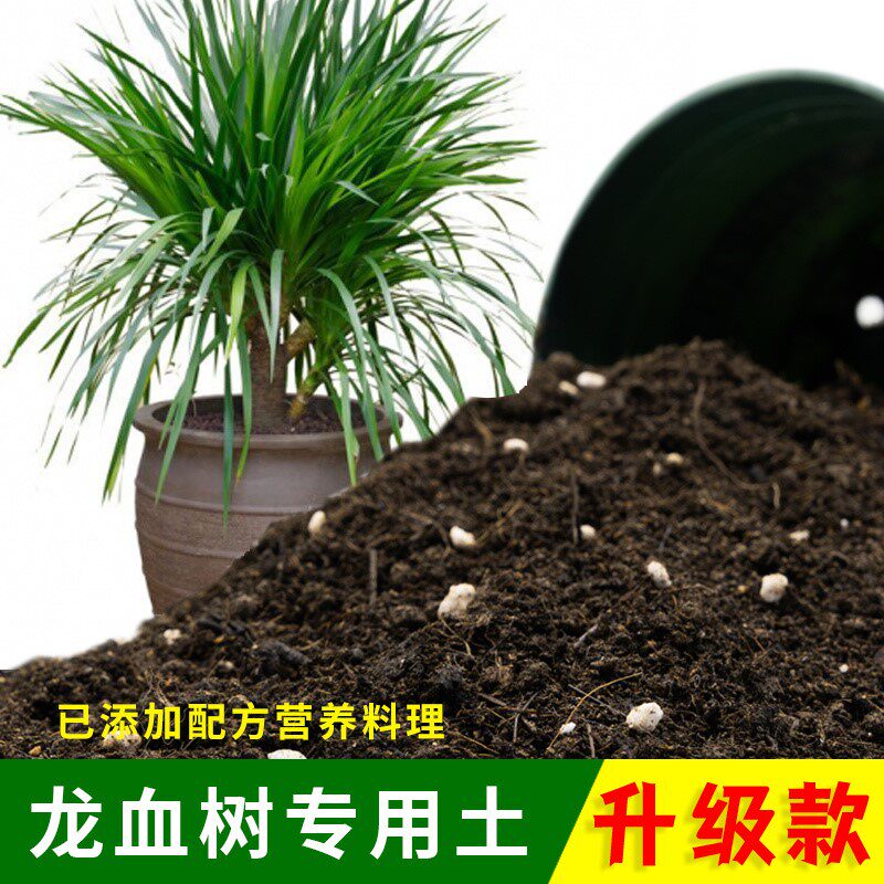 龙血树专用土有机土肥料家用种植土龙血树营养土盆栽养花通用包邮
