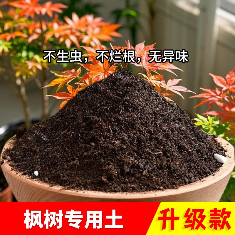 枫树专用土花卉土通用土盆栽土有机土枫树专用营养土肥料土养花土