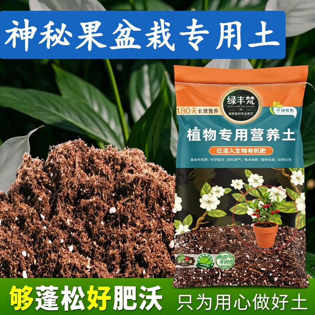 神秘果盆栽适用轻质基质土盆栽土结构稳定留存肥力无草籽喜酸