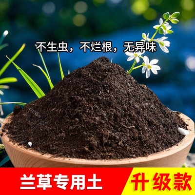 兰草专用土透气盆栽土花卉土养花土种植土兰草花专用营养土椰砖土
