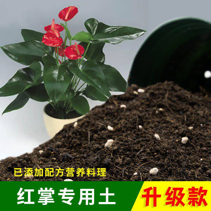 红掌专用土园艺绿植盆栽红掌营养土种花养花专用泥炭土壤有机肥料
