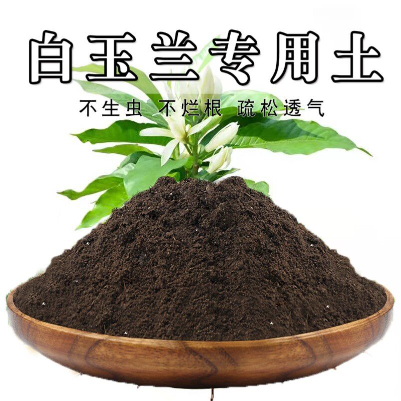 白玉兰专用土白兰花土盆栽营养土通用种花养花泥土壤种植土有机肥