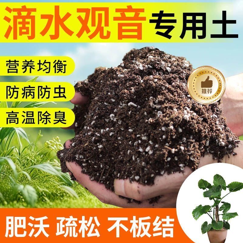 滴水观音种植土壤专用营养土种花养花土多肉育苗土兰花盆栽土肥料