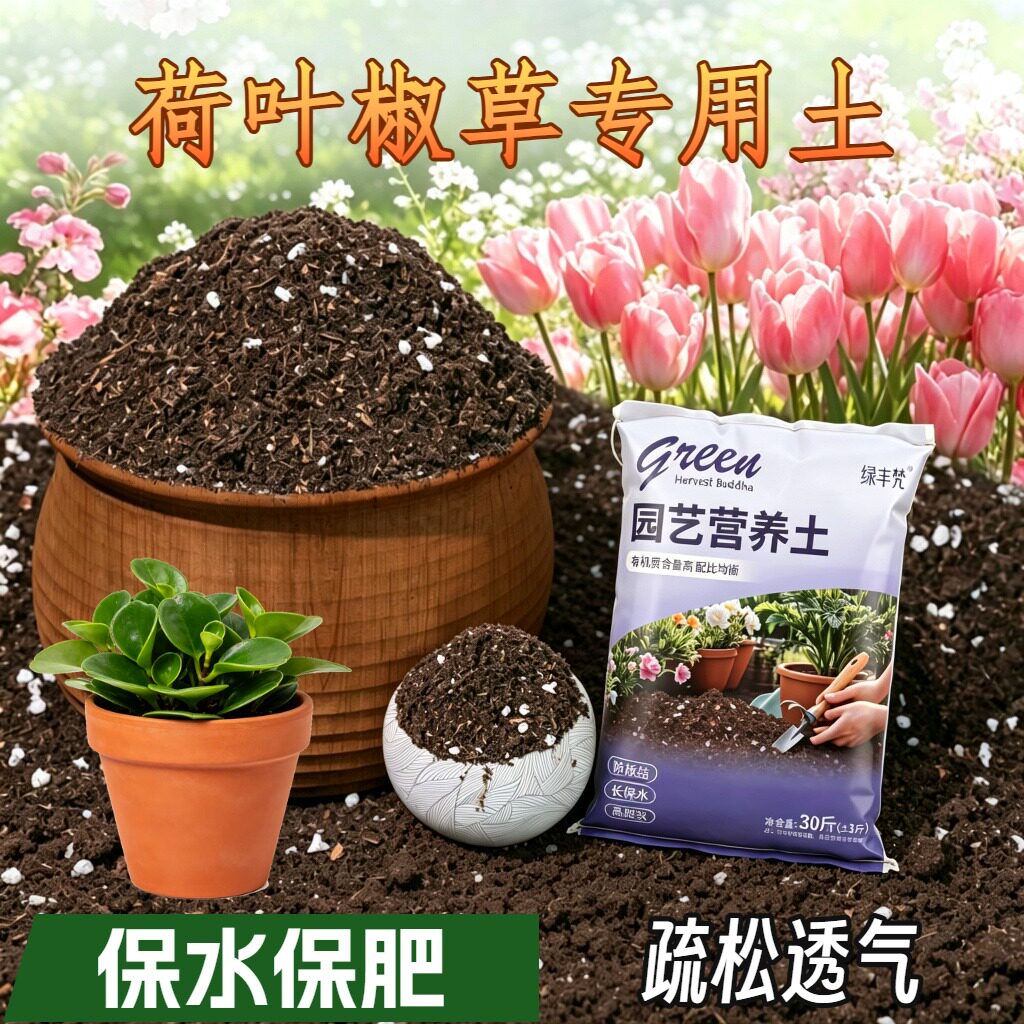 荷叶椒草专用轻质土高温灭菌花园泥炭基质精选绿叶观叶防烂根有机