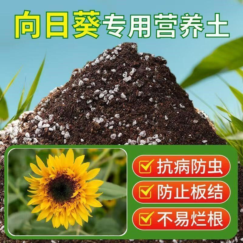 向日葵专用土向日葵土营养土盆栽养花土通用种花土壤有机肥种植土