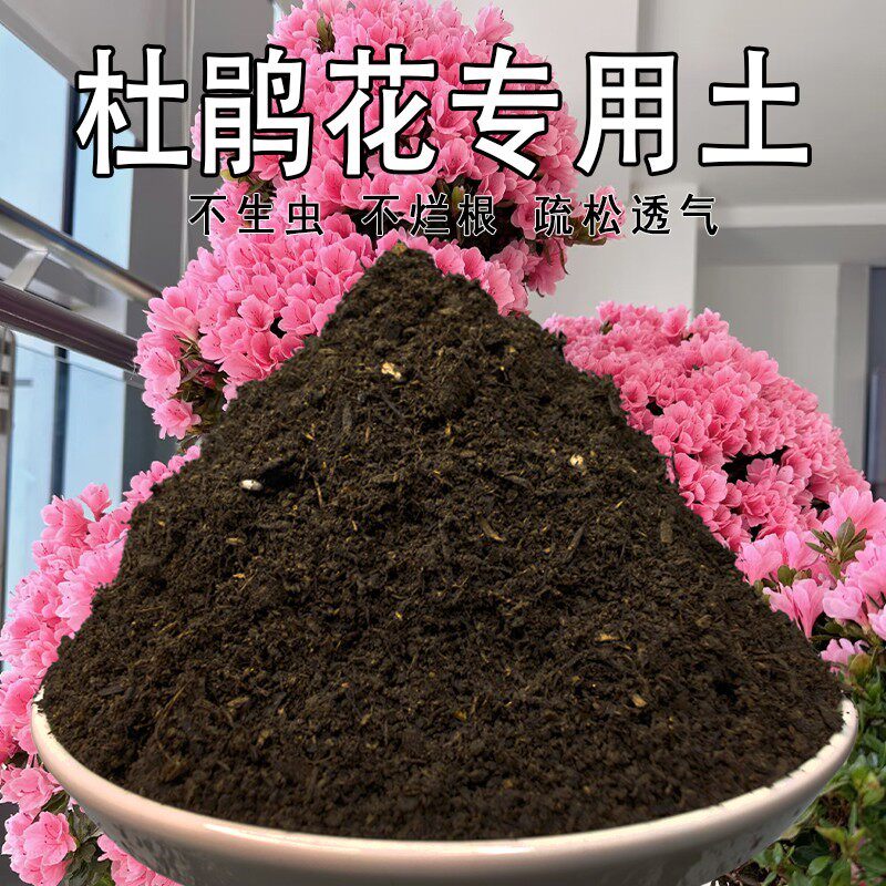 杜鹃花专用营养土蓬松多孔科学配比嫁接盆栽土无虫卵观花有机木本