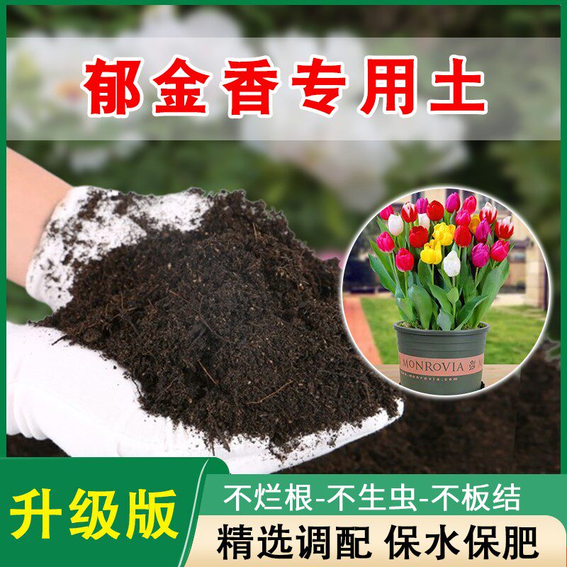 郁金香专用土营养土专用肥料养花种花通用土郁金香土壤泥土种植土