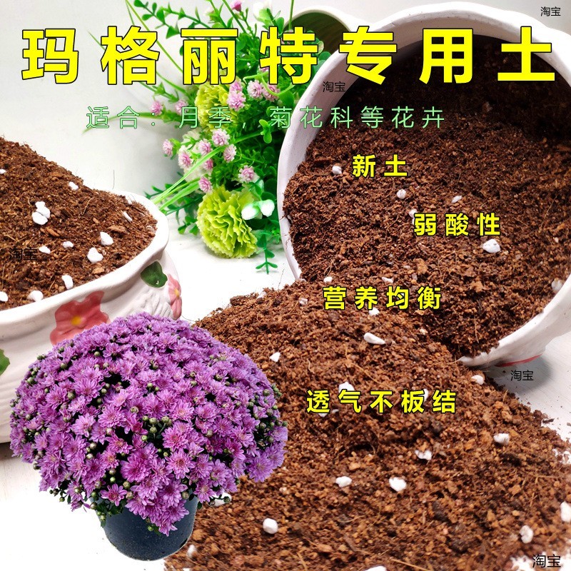 玛格丽特天然腐殖种植土加珍珠岩家庭园艺室内包邮养花土不烂根