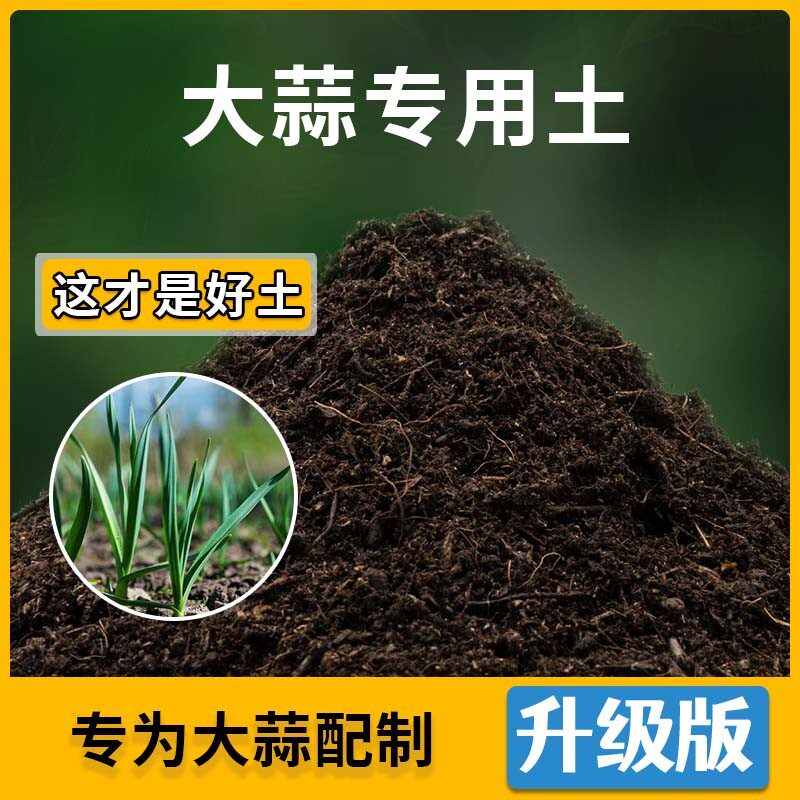 大蒜专用土大蒜营养土家用种植土壤家庭盆栽种花养花绿植有机土