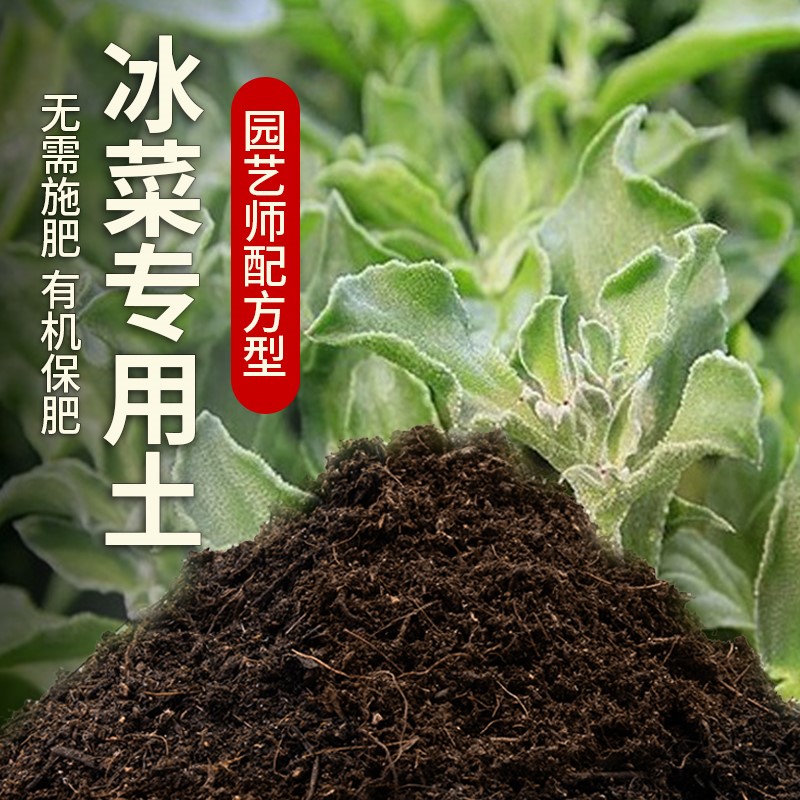 冰菜天然腐殖养花土无菌干净疏松透气扦插盆景加有机肥不闷根盆栽