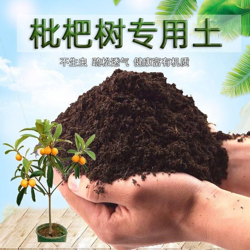 枇杷树专用土枇杷树营养土壤盆栽种花土种植土通用养花土花卉肥料